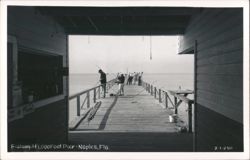Fishing At 1,000 Foot Pier Postcard