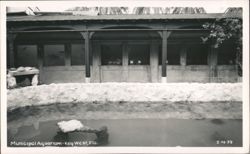 Municipal Aquarium - Key West, Florida Postcard