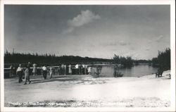 Theater of the Sea, Overseas Highway Postcard