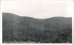 View From Tower - Cheaha State Park Postcard