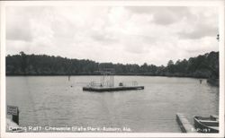 Diving Raft at Chewacla State Park Postcard