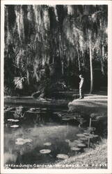 McKee Jungle Gardens, Vero Beach, Florida Postcard