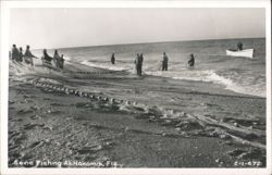 Seine Fishing At Nokomis, Fla. Postcard