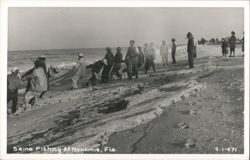 Seine Fishing at Nokomis, Florida Postcard