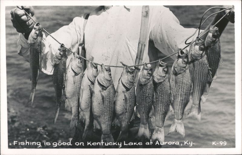 Man Holding Stringer of Fish, Kentucky Lake Aurora