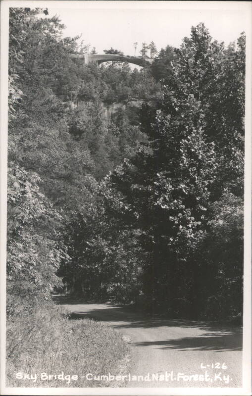 Sky Bridge, Cumberland National Forest Pine Ridge Kentucky
