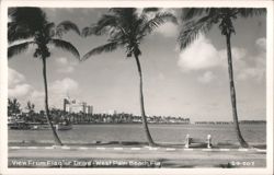 View From Flagler Drive Postcard