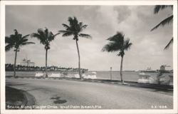 Scene Along Flagler Drive Postcard