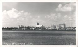 Skyline Of West Palm Beach Postcard