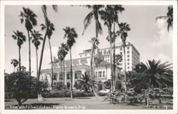 The Whitehall Hotel Postcard