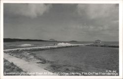 Swimming Pool and Pier At Perky Lodge, On The Florida Keys Postcard