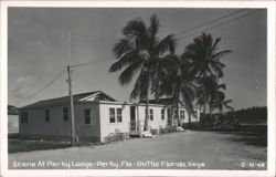 Scene At Perky Lodge Postcard