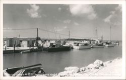 Fishing Boats At Bill Thompson's Yacht Harbor, On The Overseas H'way Postcard