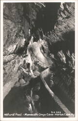 Natural Pool - Mammoth Onyx Cave Postcard