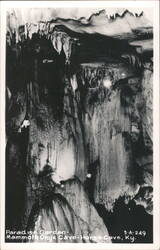 Paradise Garden, Mammoth Onyx Cave Postcard