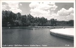 Cub Lake, Natchez Trace State Park Postcard