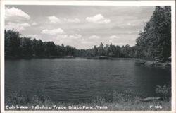 Cub Lake, Natchez Trace State Park Postcard