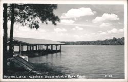 Brown Lake - Natchez Trace State Park Postcard