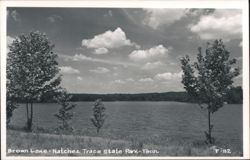 Brown Lake - Natchez Trace State Park Postcard