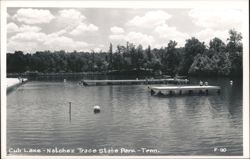 Cub Lake - Natchez Trace State Park Postcard