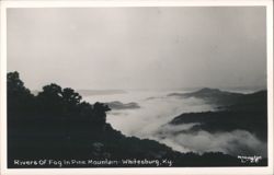 Rivers Of Fog In Pine Mountain Postcard