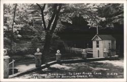 Winding Stairway To Lost River Cave Postcard