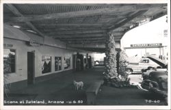 Dateland Farms Gas Station, U.S. Post Office, Rio Shop Postcard