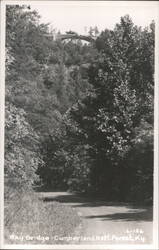 Sky Bridge, Cumberland National Forest Postcard