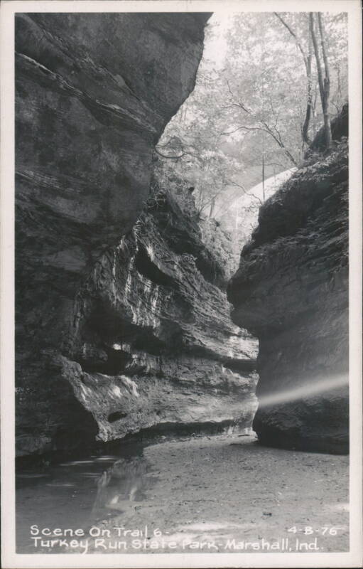 Scene On Trail 6, Turkey Run State Park Marshall Indiana