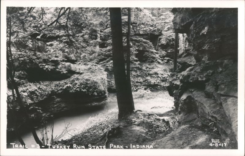 Trail #3, Turkey Run State Park Indiana