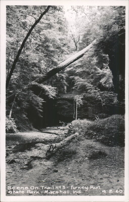 Scene On Trail No 3, Turkey Run State Park Marshall Indiana