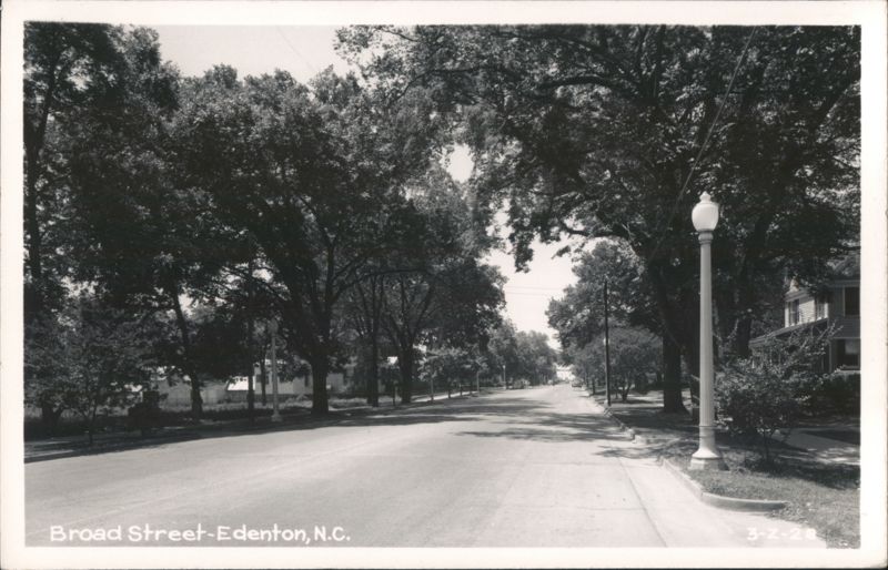 Tree-Lined Broad Street Edenton North Carolina