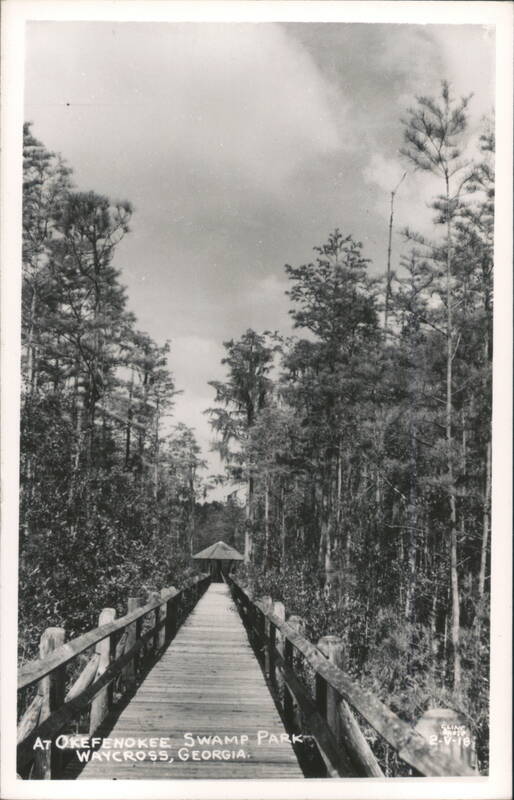 Boardwalk at Okefenokee Swamp Park Waycross Georgia