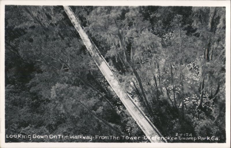 Looking Down On The Walkway From The Tower, Okefenokee Swamp Park Georgia
