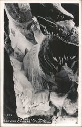 Stock #1093759 Thumbnail