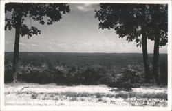 View Looking West, Brown County State Park Postcard