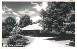 Wild Life Exhibit Bldg. Postcard