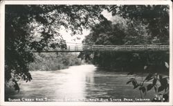 Sugar Creek and Swinging Bridge, Turkey Run State Park Postcard