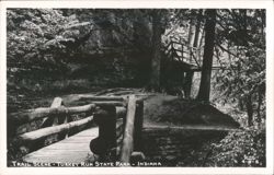Trail Scene, Turkey Run State Park Postcard