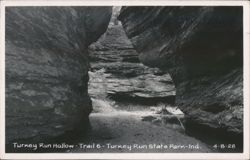 Turkey Run Hollow - Trail 6 - Turkey Run State Park Postcard