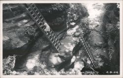 Woman climbing ladder in Deer Hollow, Trail 3, Turkey Run State Park Postcard