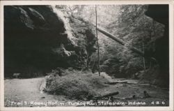 Trail 3, Rocky Hollow, Turkey Run State Park Postcard