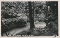 Trail 3, Turkey Run State Park Postcard