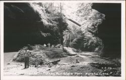 Scene on Trail Nº3, Turkey Run State Park Postcard