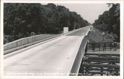 Williamston Bridge Over Roanoke River Postcard