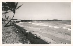 The Pier at Palm Beach Postcard