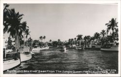 Mysterious New River Seen From The Jungle Queen Postcard