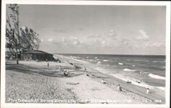 The Beach At Briny Breezes Park Postcard