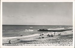 The Beach At Briny Breezes Park Postcard
