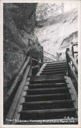Trail Scene, Turkey Run State Park Postcard